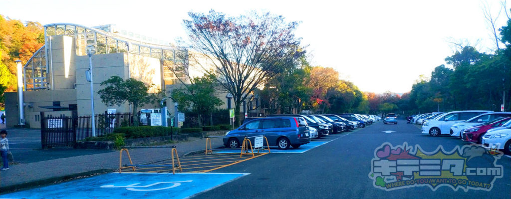 グリーンピア春日井の駐車場はこんな感じです！