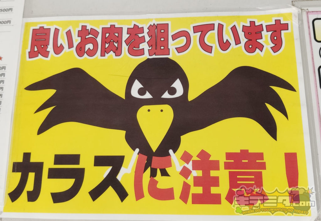 愛知牧場バーベキューガーデンではカラスに注意